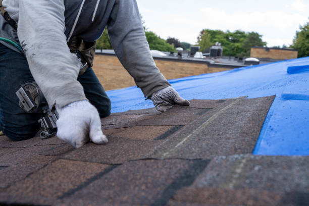 Roof Gutter Cleaning in Bayou La Batre, AL